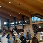 Halle Shire Horse Show