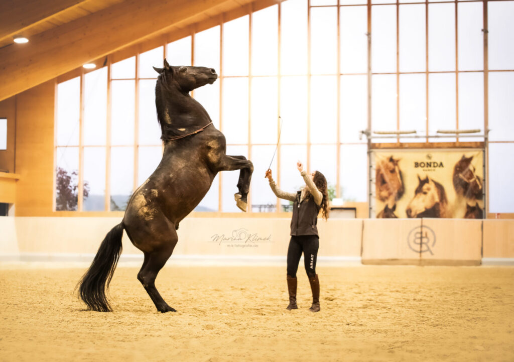 Kenzie mit Pferd Foto von Marina Klimek