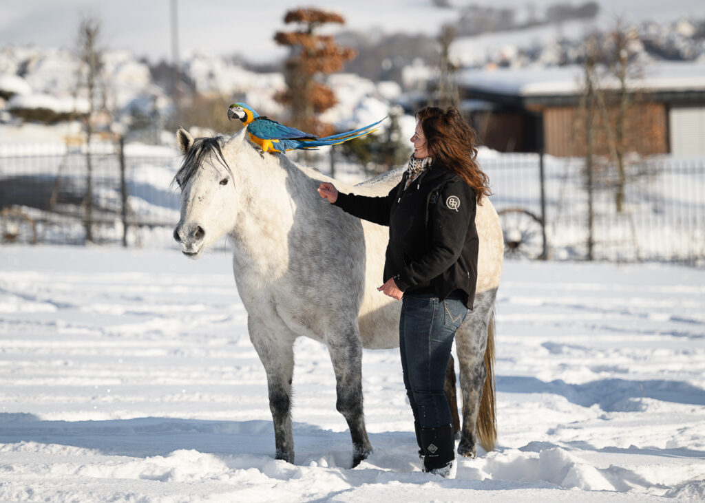 BONDA Ranch - Pferde und Papageien im Schnee 2024 (58)