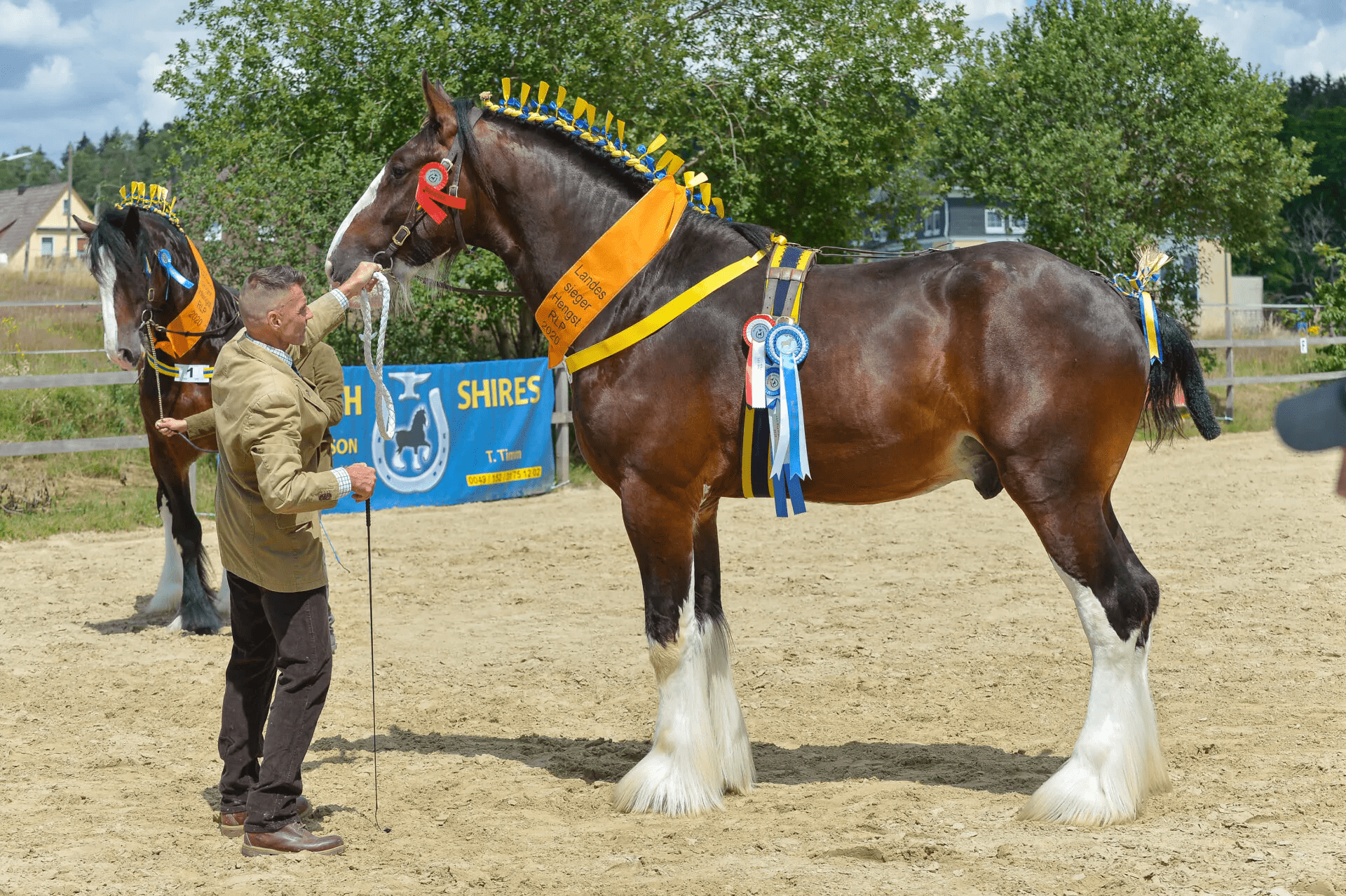 Thüringer Shire Horse Show 2020 auf der BONDA RANCH